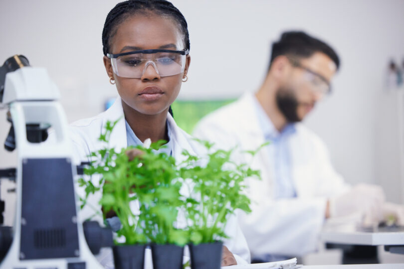 Plant patents In washington